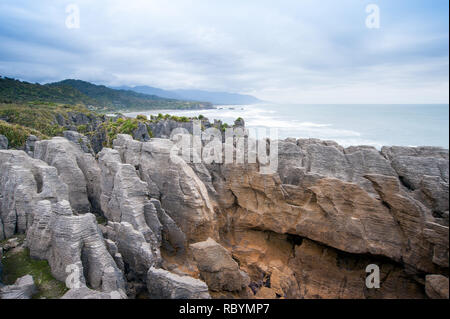 Paparoa National Park, South Island, Neuseeland Stockfoto