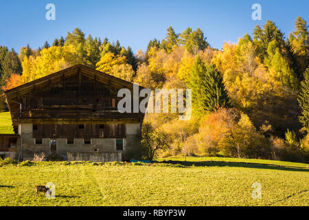 Herbstliche Blick auf schöne Ultental (Ultental), Dolomiten in Südtirol, Trentino Alto Adige, Bozen, Norditalien. Typische Berg Scheune Stockfoto