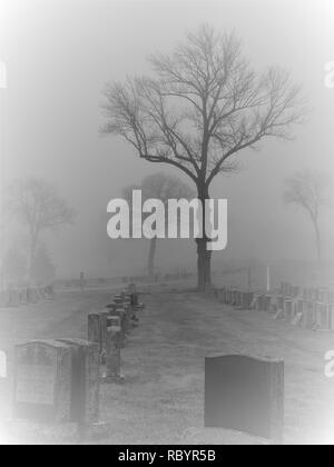 Maria Rest Friedhof Mahwah, New Jersey in einer düsteren Nebel Szene. Stockfoto