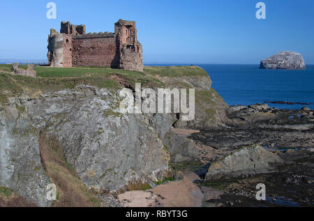 Tagesansicht des Tantallon Castle und Bass Rock in der Nähe von North Berwick, East Lothian, Schottland Stockfoto