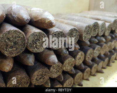 Zigarren von Hand gerollt Graycliff Stockfoto