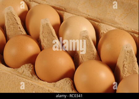 Eier in der Schachtel | Eier im Paket Stockfoto