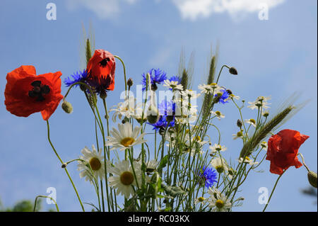 Künstlicher Feldblumenbund 60cm - Mohn, Kornblume & Margerite