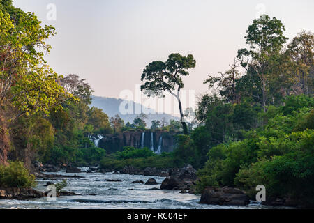 Tad Lo Wasserfall an der Boloven Loop, Paxe, Lao Stockfoto