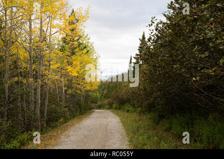 Ein Trail im Forillon National Park auf der Halbinsel Gaspé Quebec, Kanada. Der Park ist auf der Internationalen Appalachian Trail. Stockfoto