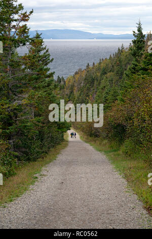 Ein Trail im Forillon National Park auf der Halbinsel Gaspé Quebec, Kanada. Der Park ist auf der Internationalen Appalachian Trail. Stockfoto