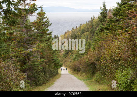 Ein Trail im Forillon National Park auf der Halbinsel Gaspé Quebec, Kanada. Der Park ist auf der Internationalen Appalachian Trail. Stockfoto