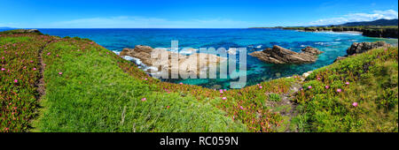 Sommer blühende Atlantikküste Landschaft mit rosa Blüten und zwei Strände Xuncos und Castros (Spanien). Stockfoto