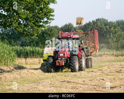 Landwirt auf seinem Traktor mit Anhänger Abholung Ballen Heu von einer Wiese in Barum, Elbmarsch, Niedersachsen, Deutschland. Stockfoto