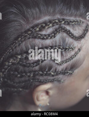 Flechten auf dem Tempel Stockfoto