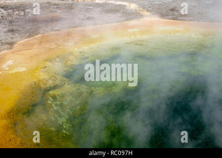 Morning Glory Pool in Upper Geyser Basin, Yellowstone-Nationalpark, Wyoming Stockfoto