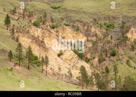 Erodierte hänge von der Snake River in Hells Canyon National Recreation Area, mit der einen Seite des Flusses Idaho und der anderen Seite Washington oder Oregon Stockfoto