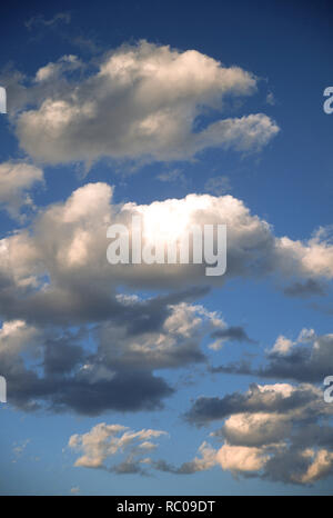 Geschwollene weiße Wolken am blauen Himmel Stockfoto