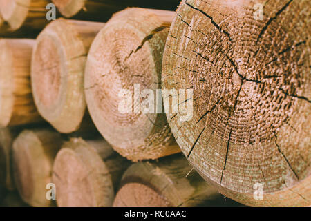 Holz- Muster. Abstrakte Foto von einem Haufen von natürlichen Holz- protokolle Hintergrund. Stockfoto