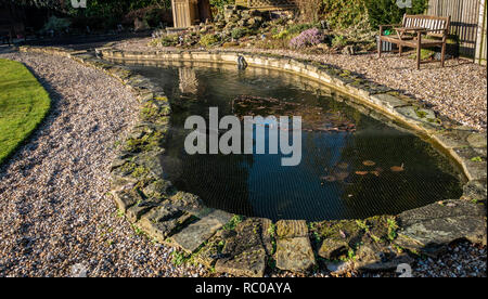 Winter Sonnenlicht auf einen sehr großen Garten Teich an einem privaten Haus in Sheffield, South Yorkshire Stockfoto