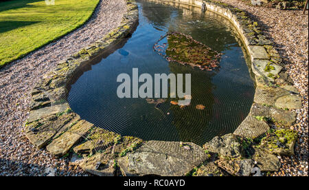 Winter Sonnenlicht auf einen sehr großen Garten Teich an einem privaten Haus in Sheffield, South Yorkshire Stockfoto