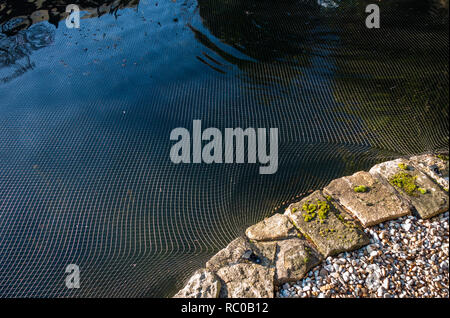 Nahaufnahme des Netting Schutz der Fische in einem Teich an einem Haus in Sheffield, South Yorkshire. Stockfoto