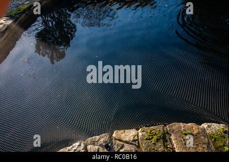 Nahaufnahme des Netting Schutz der Fische in einem Teich an einem Haus in Sheffield, South Yorkshire. Stockfoto