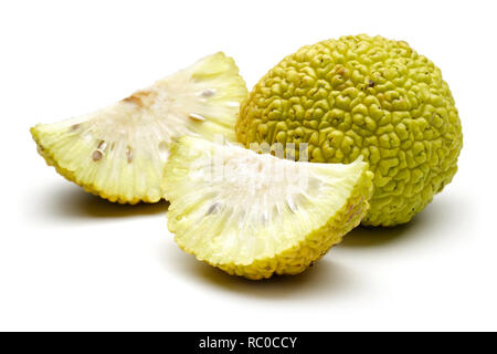 In Scheiben geschnitten Osage Orangen oder Maclura auf weißem Hintergrund Stockfoto