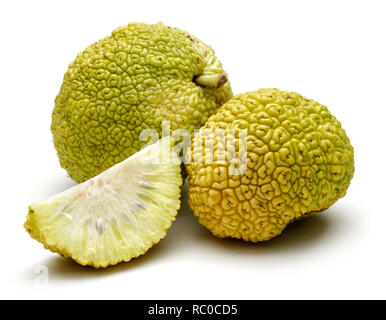 In Scheiben geschnitten Osage Orangen oder Maclura auf weißem Hintergrund Stockfoto