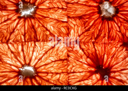 Blick von oben auf die Transparenz quadratische Scheiben von frischen Zitrusfrüchten Grapefruit Stockfoto