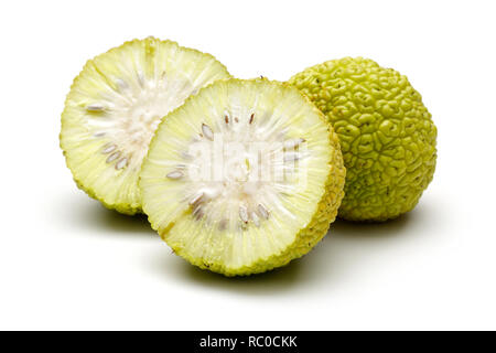 In Scheiben geschnitten Osage Orangen oder Maclura auf weißem Hintergrund Stockfoto