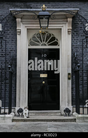 Larry, die Zahl 10 Katze, sitzend vor der Haustür am 10 Downing Street Stockfoto