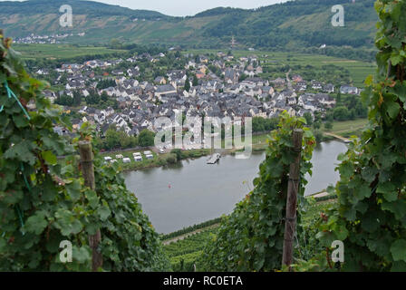 Blick über die Mosel in Pünderich, Mittelmosel, Landkreis Cochem-Zell, Rheinland-Pfalz, Deutschland, Europa | Blick über die Mosel auf Puende Stockfoto