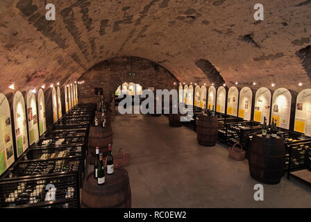 Cusanusstift, St. Nikolaus-Krankenhaus, Vinothek, Bernkastel-Kues, Mittelmosel, Landkreis Bernkastel-Wittlich, Rheinland-Pfalz, Deutschland, Europa Stockfoto