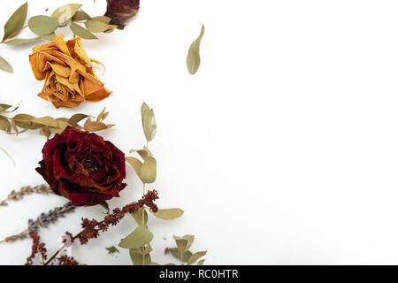 Getrocknete Kräuter und Blumen, Rose, Lavendel, Eukalyptus auf weißem Hintergrund. Platz kopieren Stockfoto