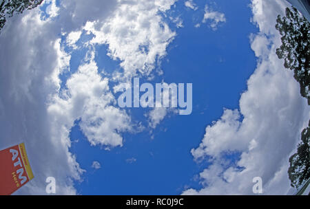 Eine globale Erwärmung Perspektive - auf der Suche Skywards mit hoch aufragenden Australische Zahnfleisch Bäume erreichen für den Himmel rings um die Szene. Strahlend blauen Himmel mit vereinzelten aufgeblasenen weißen Wolken begleitet steigert die Bildaufnahme die Globale Erwärmung. Die Kosten für die globale Erwärmung ist im Bild durch die Werbung für Geldautomaten, ATM am Rande der Szene hervorgehoben. Stockfoto