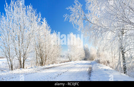 Schönen Winter Landschaft mit Wald und auf der Straße. verschneite Landschaft Stockfoto