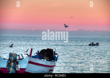 Möwen über Boote am Strand mit einem dramatischen Hintergrund Sonnenuntergang gestrandeten Flying, Oued Lao, ein kleines Fischerdorf an der Küste der Provinz Stockfoto