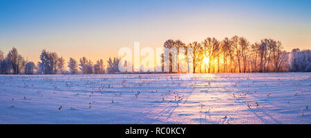 Winterlandschaft Panorama mit Sunrise. Sonne scheint durch die Bäume im Wald, Panoramaaussicht Stockfoto