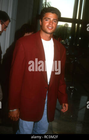 SANTA MONICA, CA - 19. August: Schauspieler David Charvet besucht die Spectrum Club/Wasser Garten Grand Opening Feier profitieren zu heilen die Bucht am 19 August, 1993 an der Spectrum Club/Wasser Garten in Santa Monica, Kalifornien. Foto von Barry King/Alamy Stock Foto Stockfoto