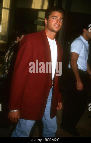 SANTA MONICA, CA - 19. August: Schauspieler David Charvet besucht die Spectrum Club/Wasser Garten Grand Opening Feier profitieren zu heilen die Bucht am 19 August, 1993 an der Spectrum Club/Wasser Garten in Santa Monica, Kalifornien. Foto von Barry King/Alamy Stock Foto Stockfoto