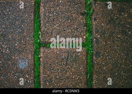 Brick Road. Gras und Moos wächst durch die Brick Road. Stockfoto