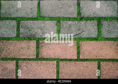 Brick Road. Gras und Moos wächst durch die Brick Road. Stockfoto