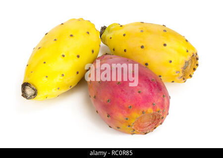 Rot Gelb kaktusfeige oder Opuntia auf einem weißen Hintergrund. Stockfoto