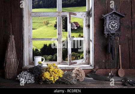 Bauernstube, Blick durch das Fenster Stockfoto