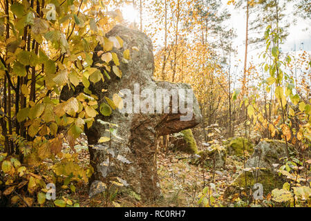 Region Babtsy, Witebsk, Belarus. Alte Steinkreuz im Alten Friedhof. Stockfoto