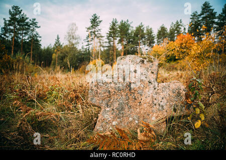 Region Babtsy, Witebsk, Belarus. Alte Steinkreuz im Alten Friedhof. Stockfoto