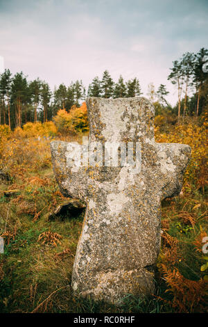 Region Babtsy, Witebsk, Belarus. Alte Steinkreuz im Alten Friedhof. Stockfoto