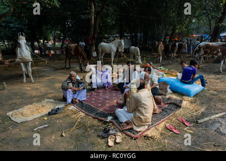 Händler kaufen und verkaufen Pferde während der jährlichen Viehmarkt an Sonpur in Bihar. Stockfoto