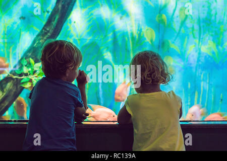 Kleine Jungen und Mädchen beobachten tropische Korallen Fische in großen Sea Life tank. Kinder im Zoo Aquarium Stockfoto