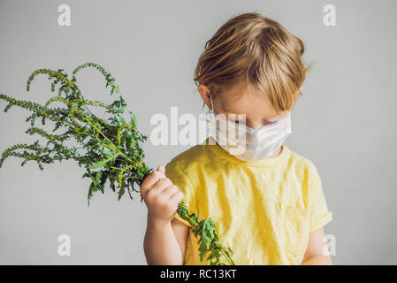 Der Junge ist allergisch auf ragweed. In einem medizinischen Maske, er hält einen ragweed Bush in seinen Händen. Allergie Konzept auf Ambrosia. Stockfoto