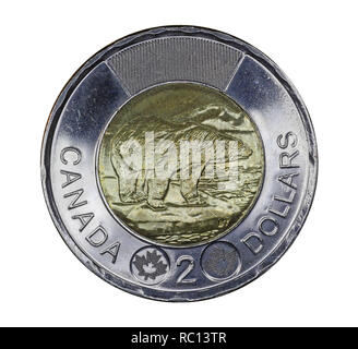 OTTAWA - Januar 2019: Die zwei Dollar Münze ist ein Eisbär, das Symbol der in Kanada ökologisch bedrohten nördlichen Regionen. Stockfoto