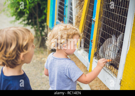 Mädchen und Jungen werden gefüttert Kaninchen im Streichelzoo Stockfoto