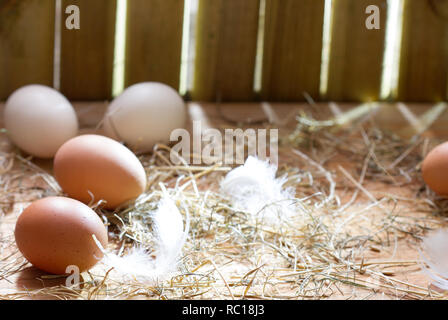 Bio ökologische Eier im Hühnerstall am Morgen Ostern Frühling abstrakt Hintergrund Stockfoto