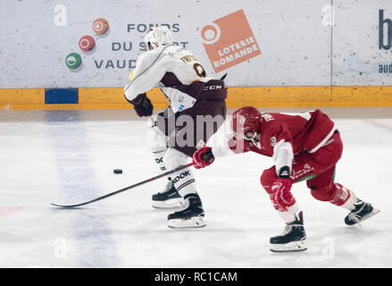 Lausanne, Schweiz. 12 Jan, 2019. LNA SWISS ICE HOCKEY LAUSANNE HC VS GENF SERVETTE HC-Lausanne Hc vs Genf Servette Hc bei der Vaudoise Arena, Lausanne (35. Tag der Jahreszeit), 12-01-2019. Quelle: Eric Dubost/Alamy Leben Nachrichten. Stockfoto